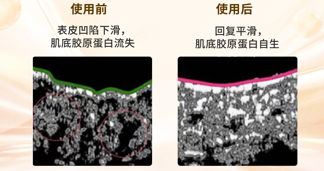 伊瑞施-移动_08.jpg