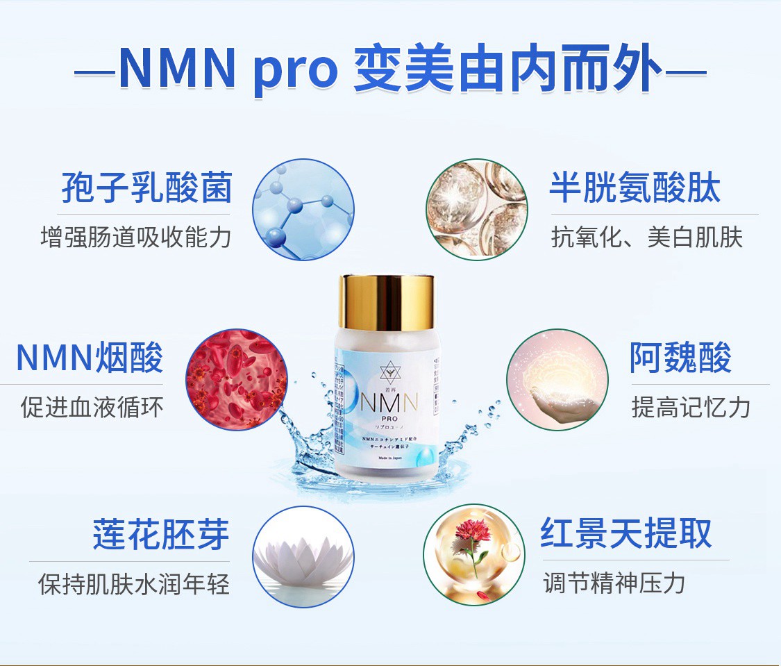 NMN_pro_05.jpg