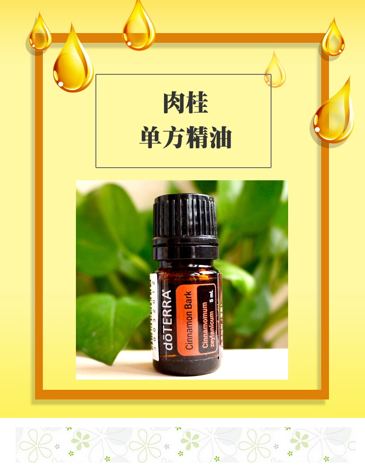 多特瑞(doterra)肉桂单方精油5ml