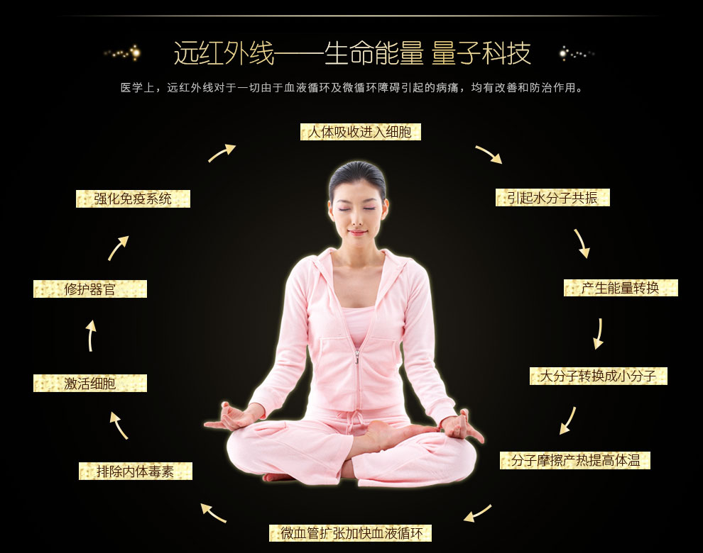 神州泰康(divine_health)光子能量养生修护套装(买90cm光子床送薏仁