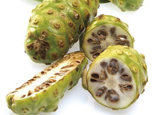 诺丽果(noni)资讯
