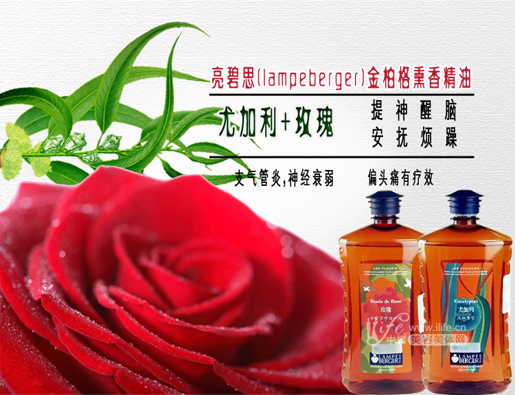 亮碧思(lampeberger)金柏格熏香精油 尤加利 玫瑰