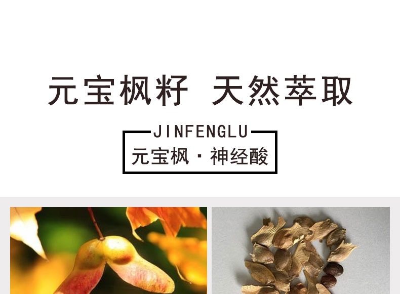 金枫露元宝枫籽油神经酸口服15瓶/盒*2