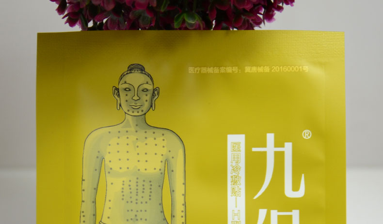 贴针灸(tiezhenjiu)九保疼痛贴10贴/盒价格_评价_功效_说明书-美容