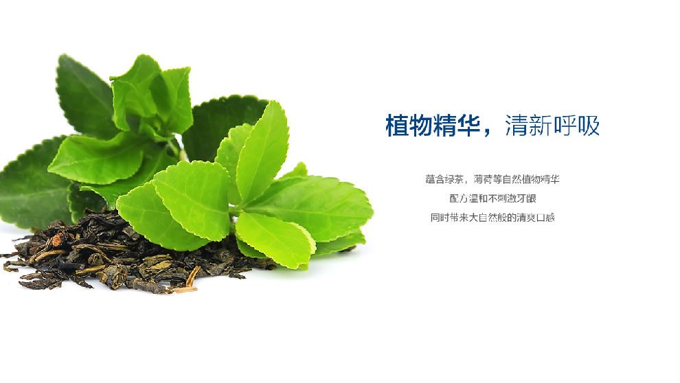 三生御坊堂(yofoto)朗丽洁清怡牙膏150g