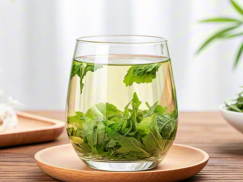 桑葉茶哪些人不能喝 桑葉茶禁忌人群