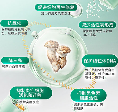 麥角硫因如何改善睡眠、延緩衰老？權(quán)威科普解讀LOFO樂(lè)活配方