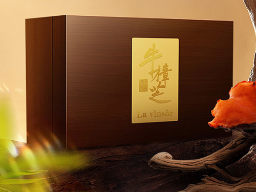 溫莎牛樟芝:每天一粒,元氣滿格