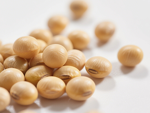 立秋吃3黃 立秋吃三黃是指哪三黃呢