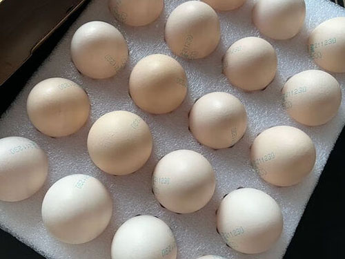 養(yǎng)發(fā)最好的十種食物 養(yǎng)發(fā)最好的十種食物是什么