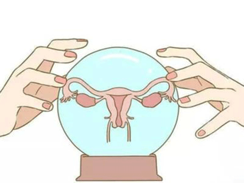 卵巢