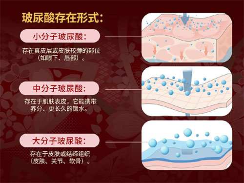 温莎之谜低分子深海鱼胶原蛋白肽饮品喝出年轻新生肌