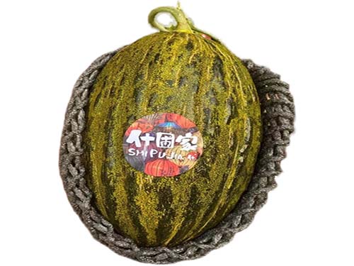 斗牛小瓜好吃吗 斗牛小瓜价格