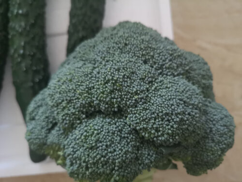尿酸最怕的10种蔬菜 10种蔬菜调节尿酸