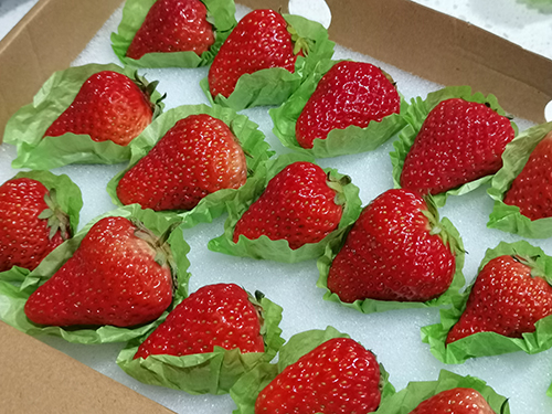 十种降糖水果排名,盘点十种最佳降血糖水果