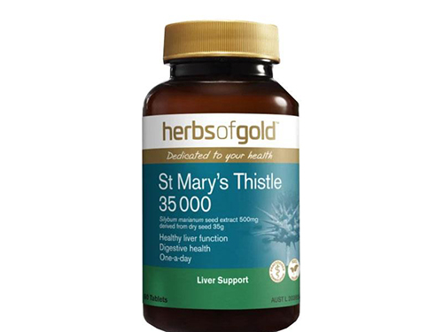 水飞蓟籽油功效与作用 盘点水飞蓟籽油三大功效与作用