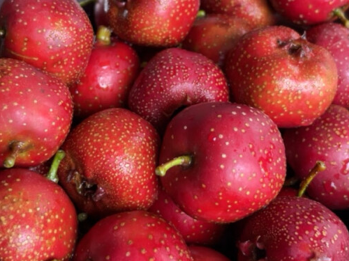 软化血管的水果十大排名榜 盘点软化血管的十大水果排名