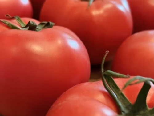 西红柿是胀气的食物吗 为什么吃西红柿胃难受  
