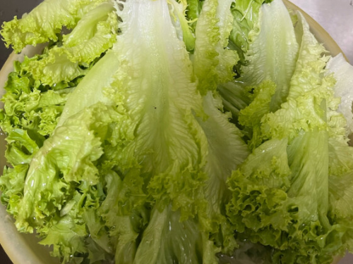 叶子菜放冰箱一星期能吃吗 新鲜绿叶菜可以在冰箱里保存多久