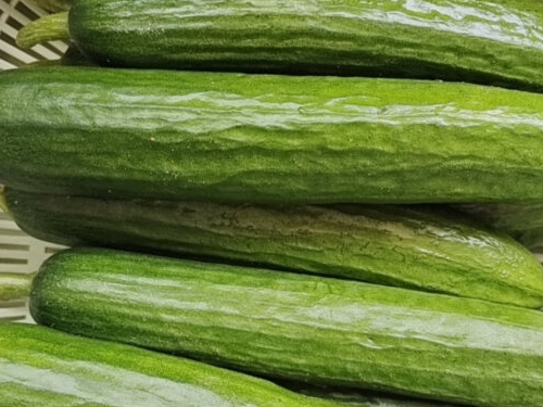 癌最怕的蔬菜第一名 一辈子不得癌的5种食物