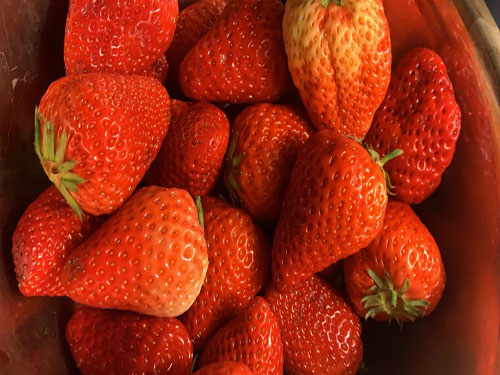 吃多了草莓会不会导致肚子痛