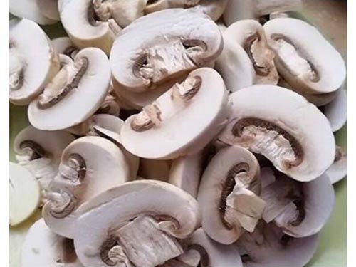 新鲜蘑菇可以晒干保存吗