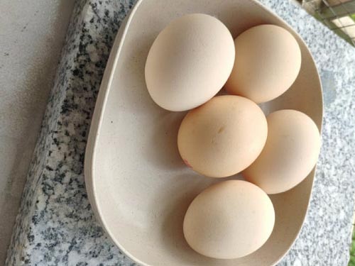 吃鸡蛋的十大功效作用