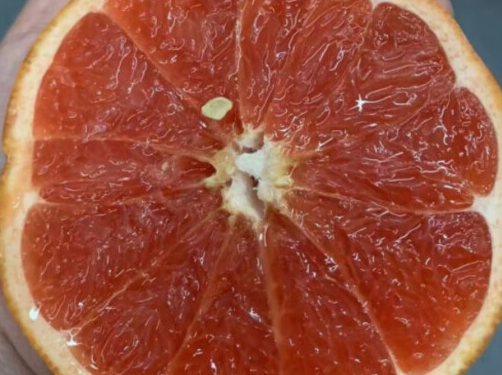 常吃柚子对身体的十大好处，促进消化/提高免疫力/助于减肥