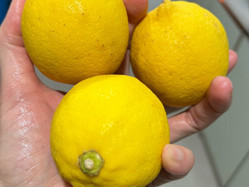 肝不好常吃三种水果，柠檬/葡萄/猕猴桃