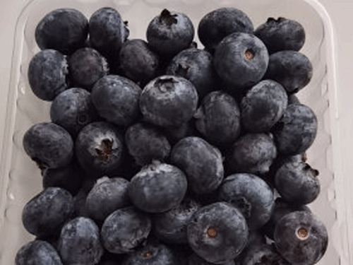 糖尿病人适合的水果排行 糖尿病推荐水果