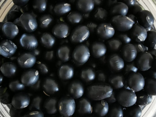黑豆和什么搭配吃效果最好，三种黑豆的养生食谱