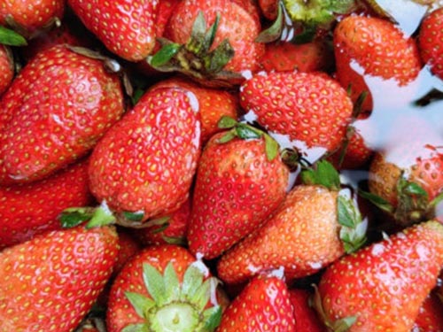 含糖量低的六种水果 哪些水果含糖量低