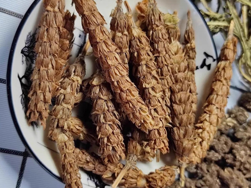 白毛夏枯草和夏枯草的區(qū)別 白毛夏枯草泡水喝功效與作用