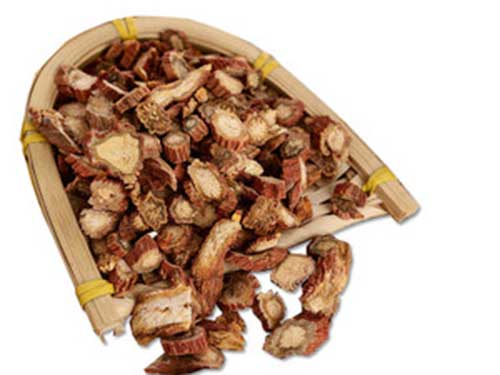 丹参的功效与作用及禁忌症