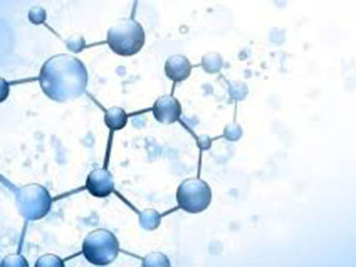 小分子活性肽的功效和作用