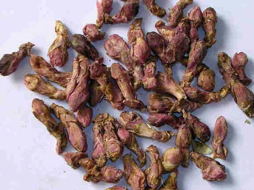 款冬花的功效与作用