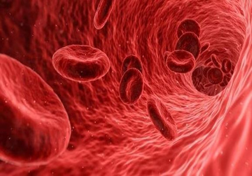 血管炎是什么引起的