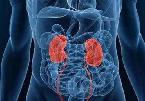 肾结石吃什??东西???