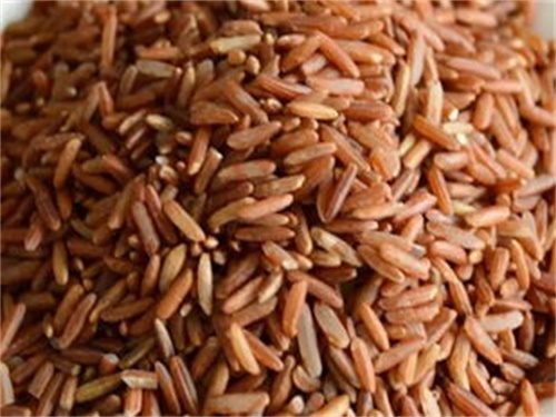 食用红米的功效与作用
