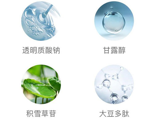 “生命之糖”——海藻糖