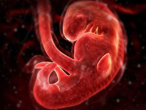 电子辐射对胎儿有影响吗