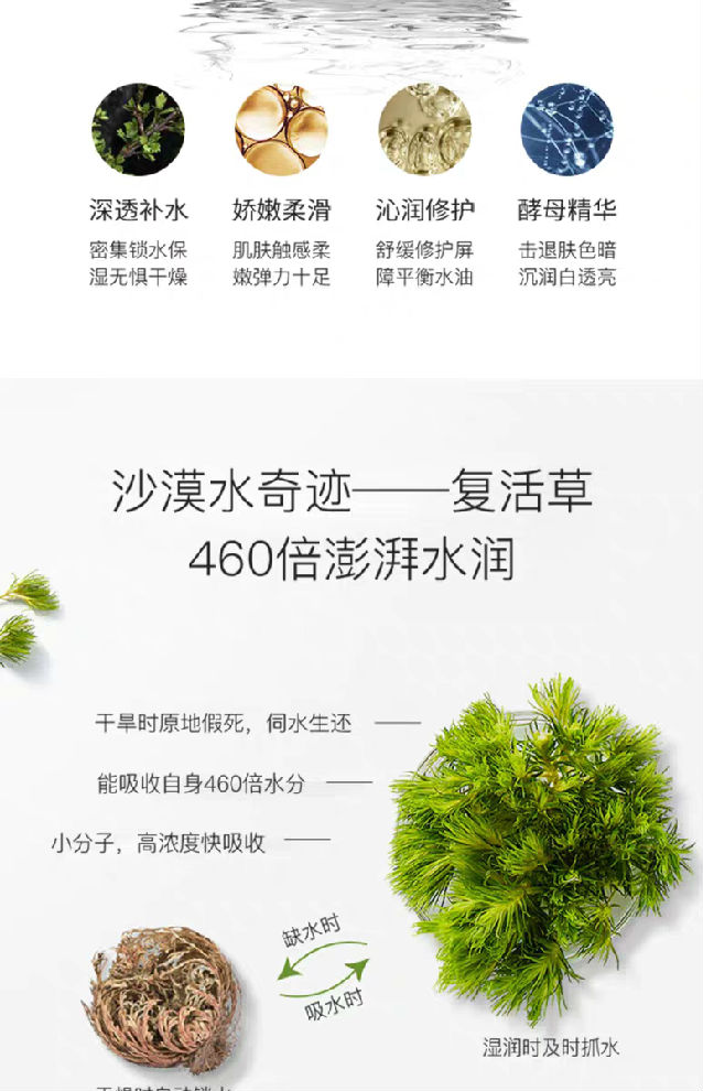 Zedd复活草修护补水面膜，张新成同款面膜，推荐给爱美的你