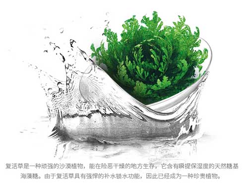 ???1好物清单：Zedd面膜99???4片面膜，超划算！