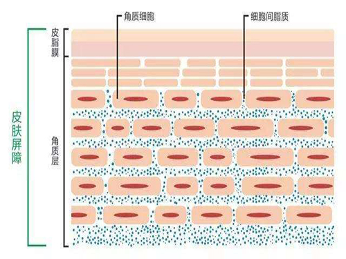 ???1好物清单：Zedd面膜99???4片面膜，超划算！