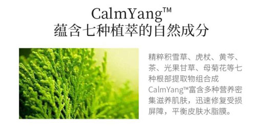 Zedd复活草面膜含有哪些成分