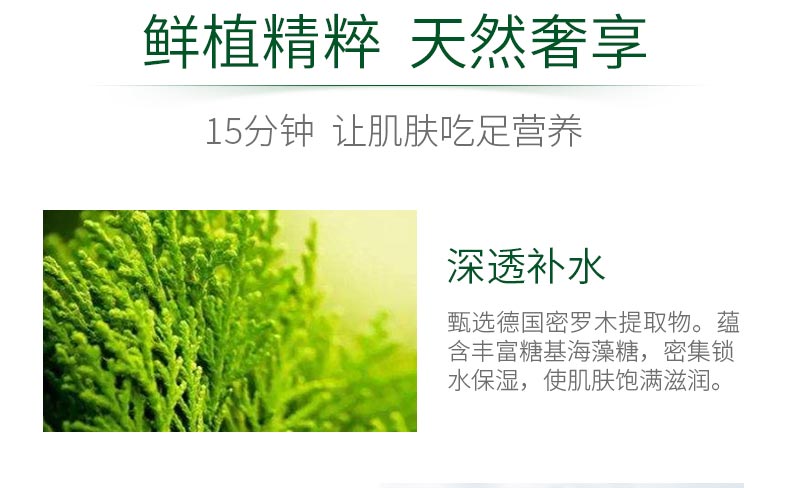 肌肤严重缺水，Zedd复活草面膜敷完就有救了