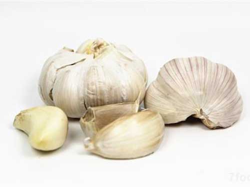 大蒜油的副作用