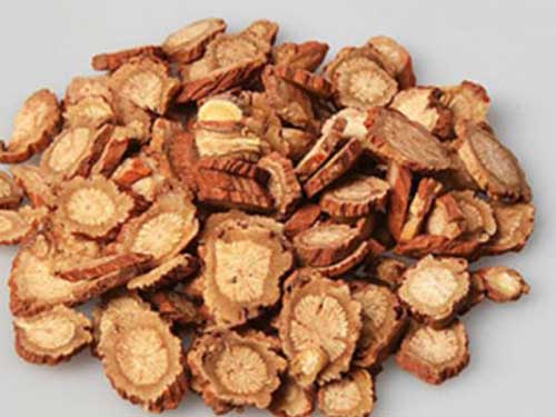 丹参的功效与作用