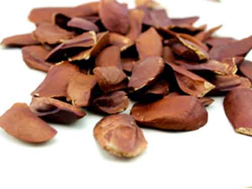 向天果多少钱一斤