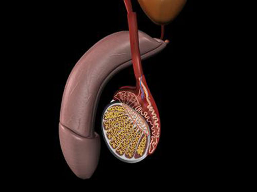 出现附睾炎是怎么引起的